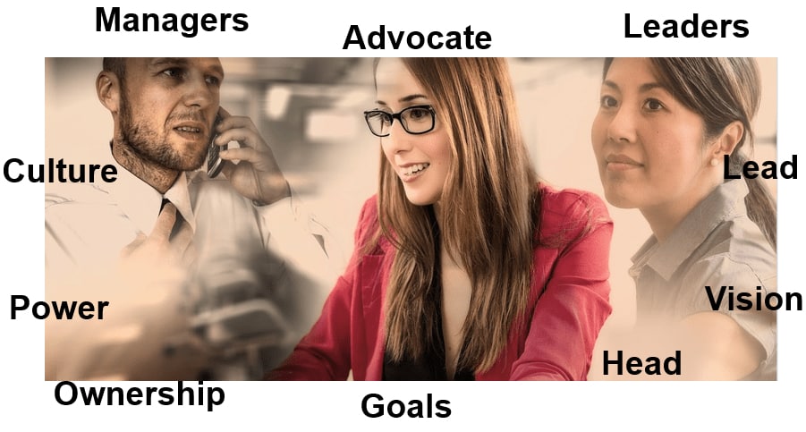Types of Stakeholders Groups