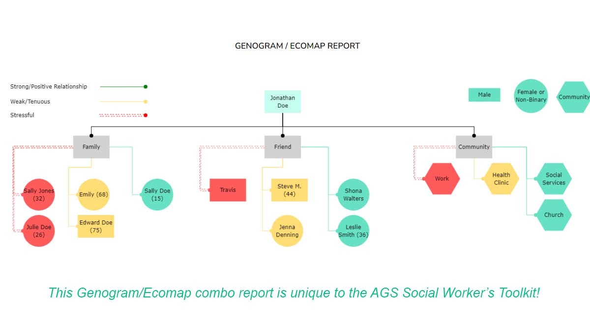 social work genogram dashboard report