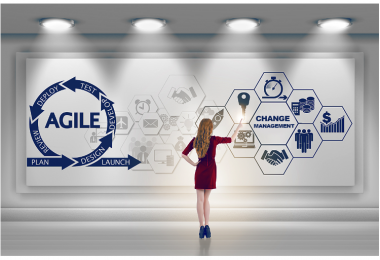 agile change management plan