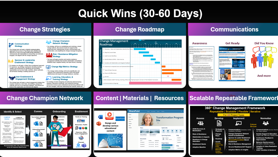 Change Management Consultant - Quick Wins