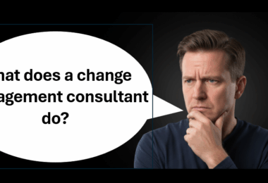 What does a change Management consultant do