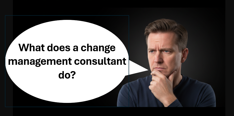 What does a change Management consultant do
