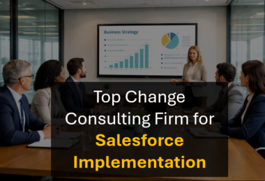 Who's the Best Change Management Consulting Firm for SFDC and Salesforce CRM Success?