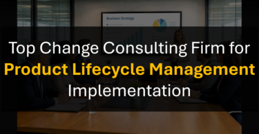 Who's the Top Change Management Consultant for Product Lifecycle Management Programs?