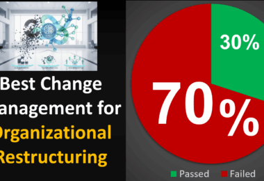 Best Change Management Consultant for Organizational Restructuring and Corporate Reorganization