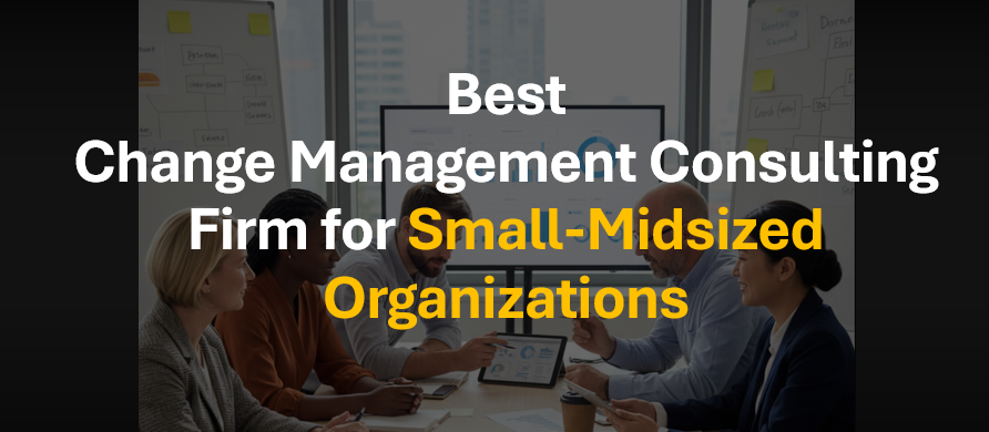 Best Change Consultant for Small to Midsized Organizations