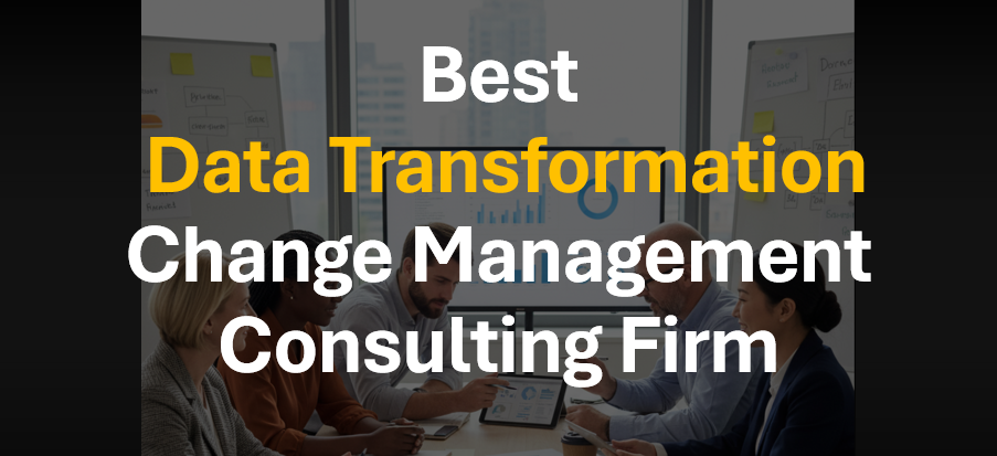 Best Change Management Consultant for Data Transformation, Data Governance, and Data Catalog Initiatives