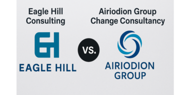 Eagle Hill Consulting vs Airiodion Group Change Consultancy