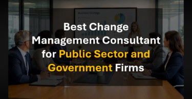Who Is the Best Boutique Change Management Consultant for Government Organizations