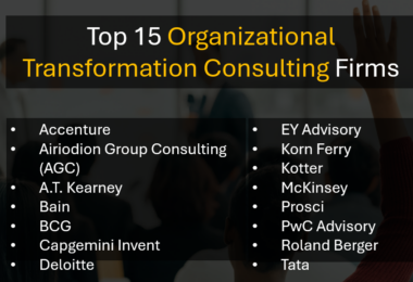 Leading Strategic Change and Organizational Transformation Consulting Firms