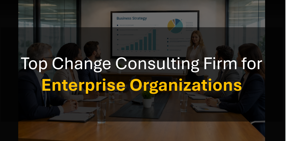 Who’s the Best Change Management Firm for Large Organization Transformations?