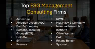Best Ranked Top ESG Consultants for Sustainability, Governance, and Change Management