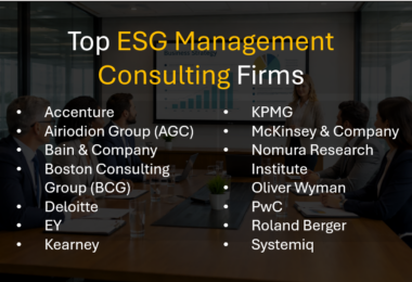 Best Ranked Top ESG Consultants for Sustainability, Governance, and Change Management