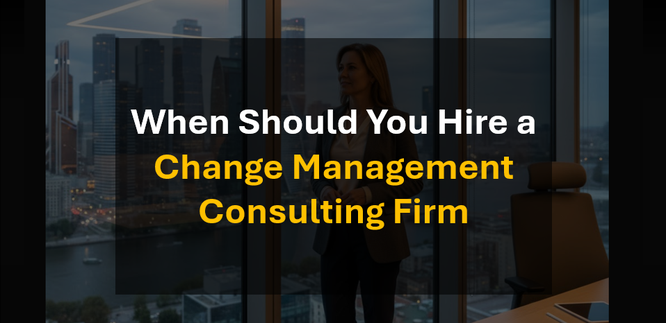 Why and When to Hire a Change Management Consultant for Organizational Change